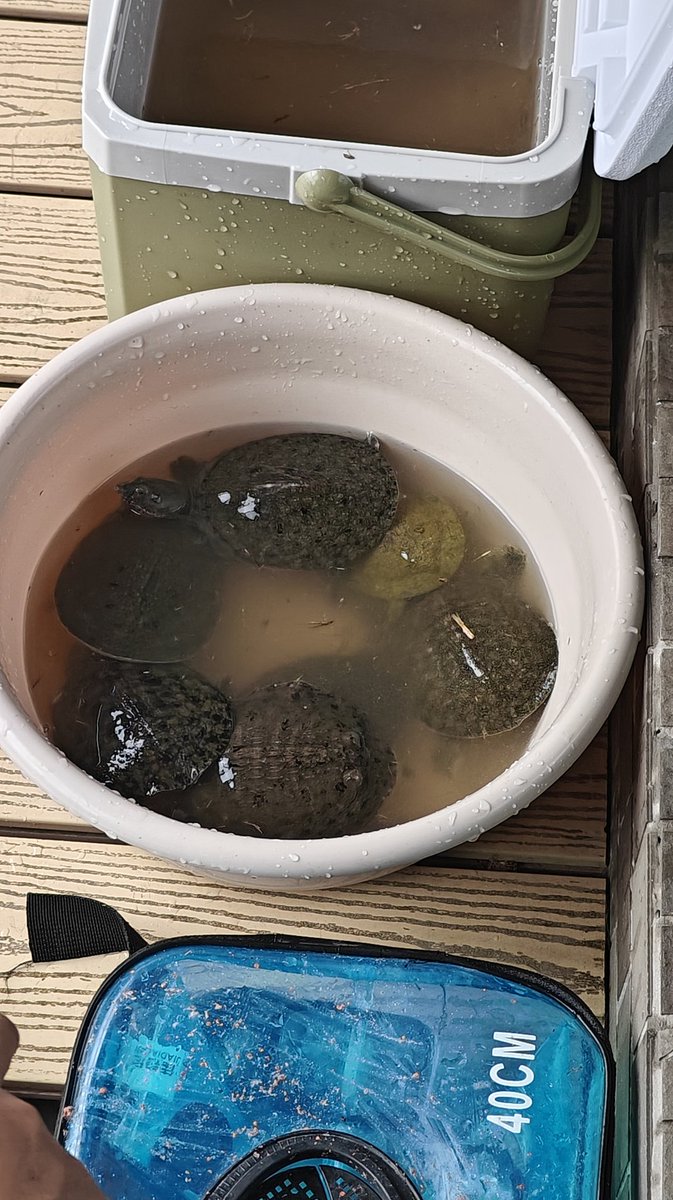 ZTZZ ฿ tweet media