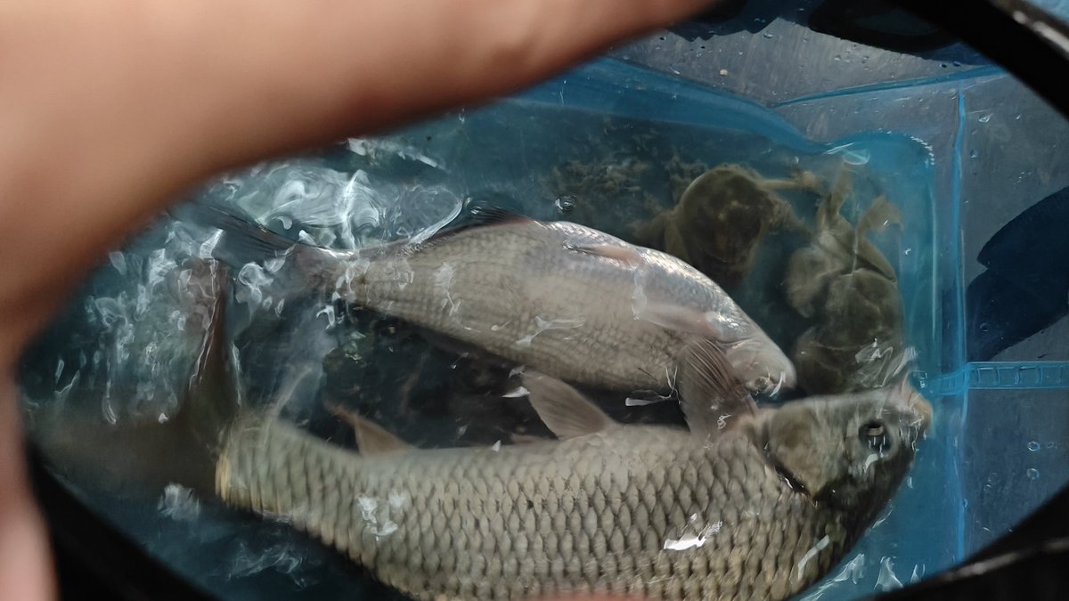 ZTZZ ฿ tweet media