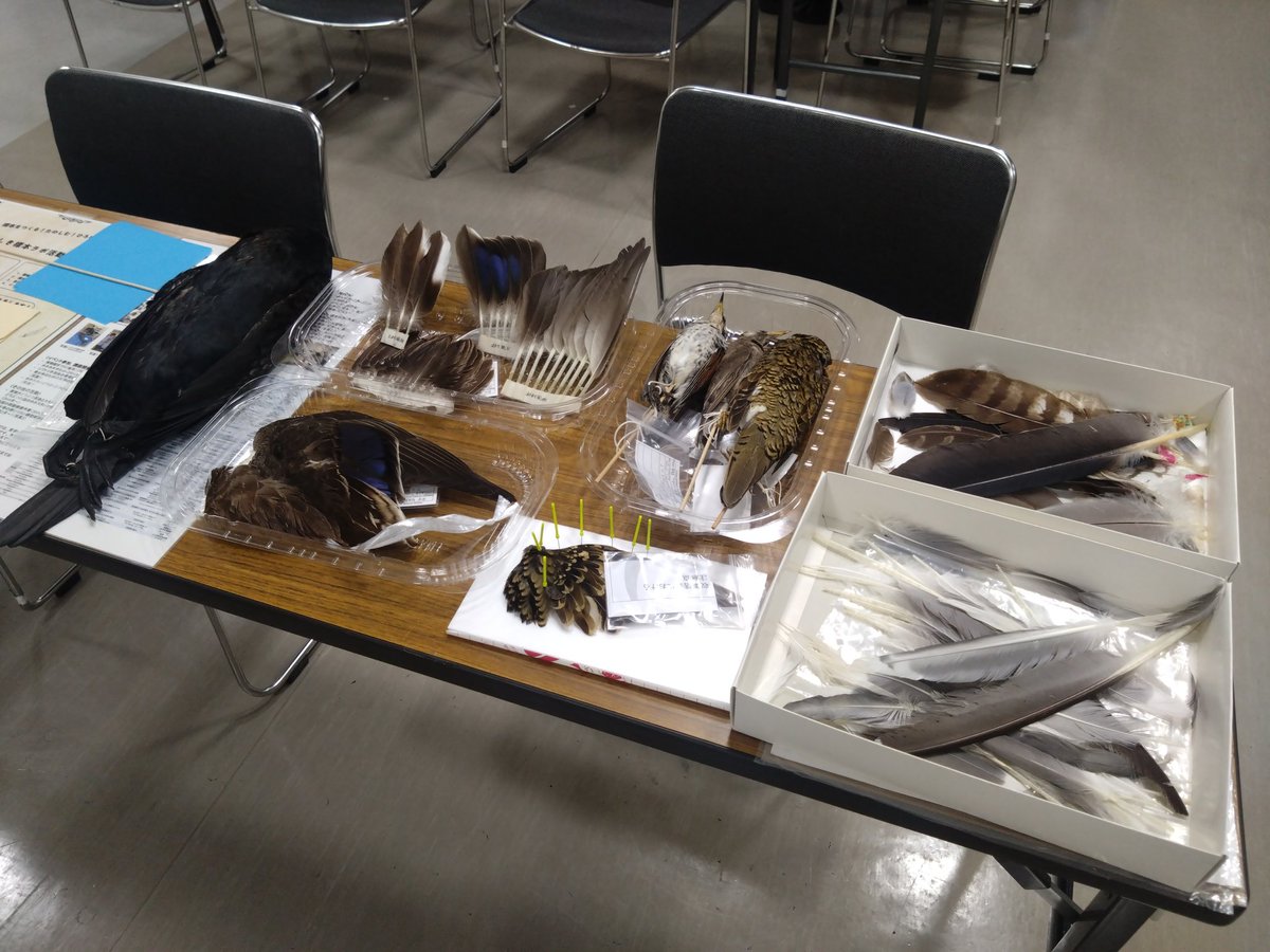 じゅんじゅん (@JJJUUNNN) / Posts / X