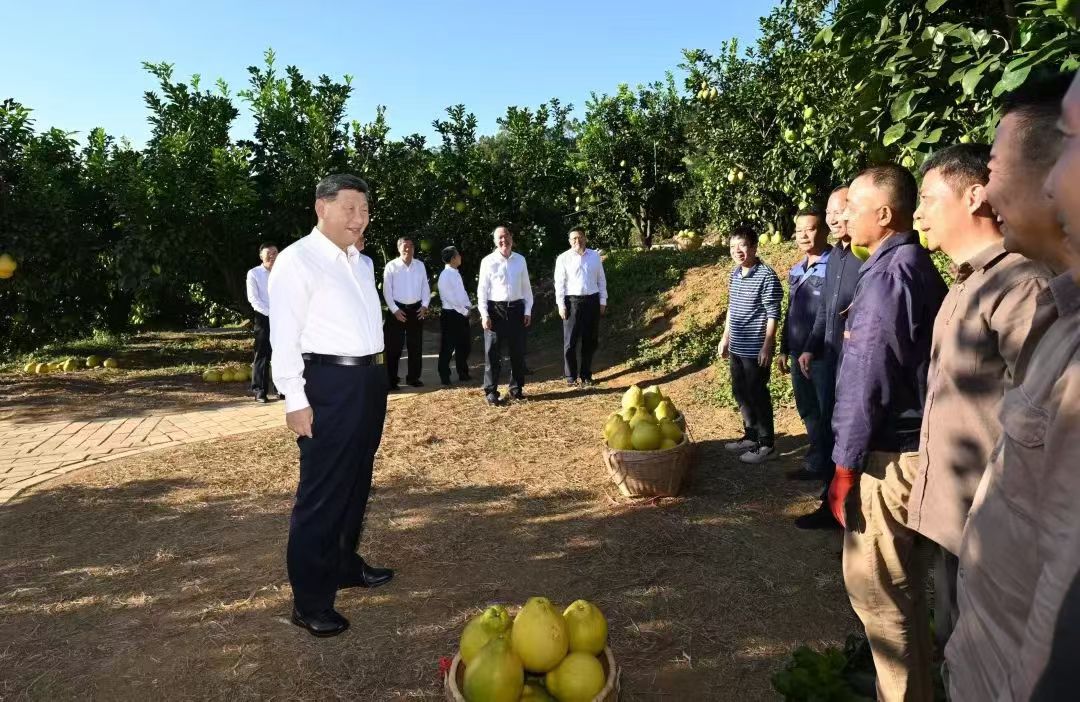 戎🐎少年 tweet media