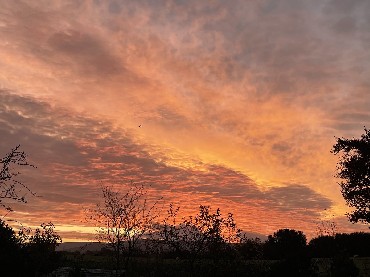 Early bird and all that….