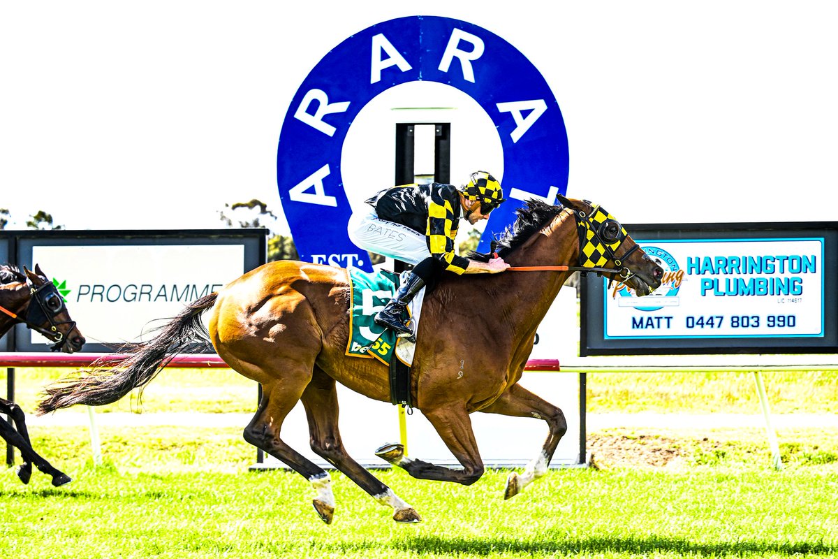 RacingVictoria's tweet image. First country cup for @HayfieldsRacing 🏆