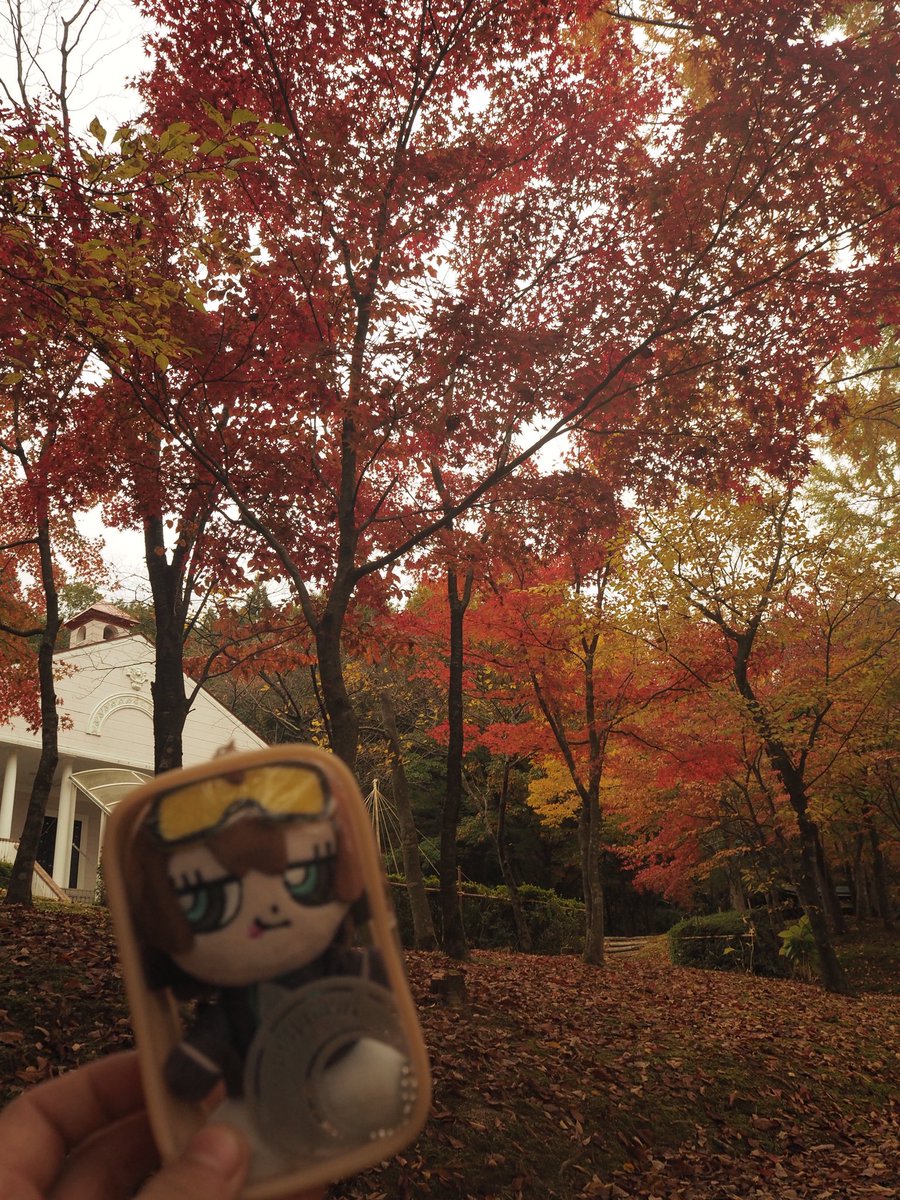 2日連続で紅葉見て来た🍁