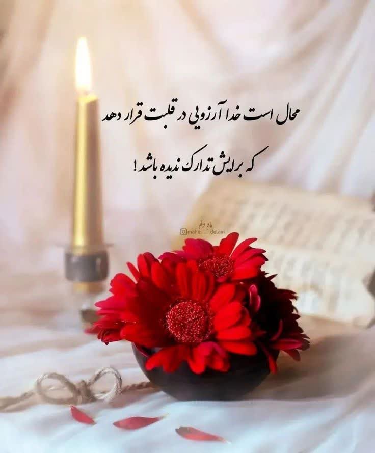 محال است خدا... ❤️🌿

#فالو_بک
#حمايت_انقلابى