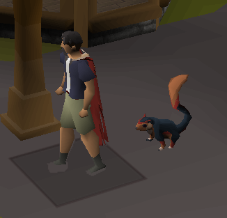 Daithe_'s tweet photo. 11/67 Giant Squirrel @ 15,006,926 xp https://t.co/jGWvMHQQMW