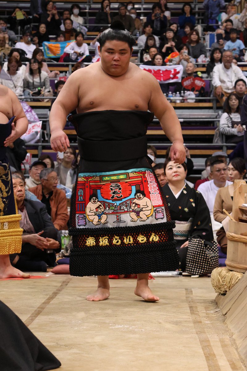 初日の様子＞ 幕内土俵入り 安青錦 伯桜鵬 #sumo #相撲 #十一月場所