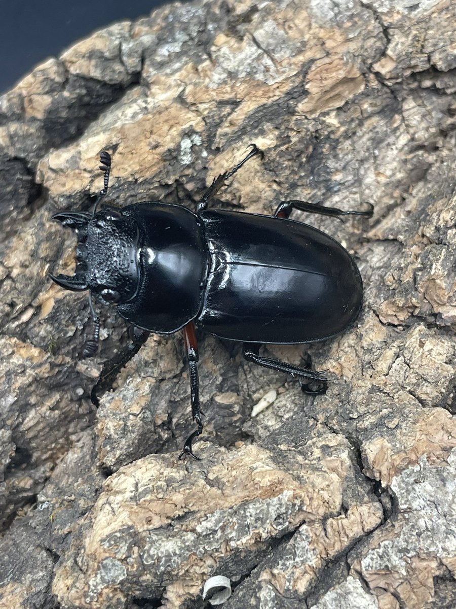 かっつん (@uq4yufhZFyiqsxY) / Posts / X