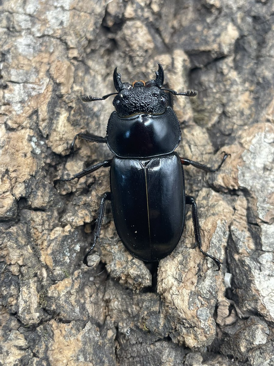 かっつん (@uq4yufhZFyiqsxY) / Posts / X