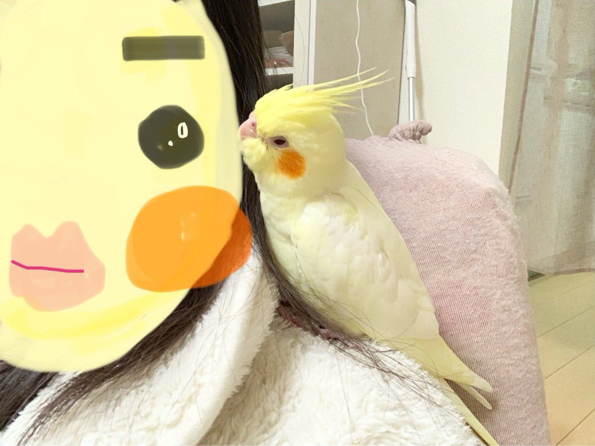 羊のママ れもんママ（育て主） on X