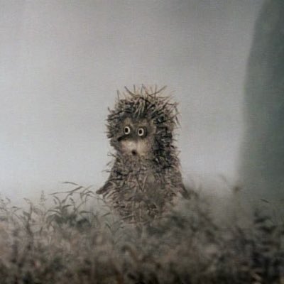 Brays Efe 👻 tweet media