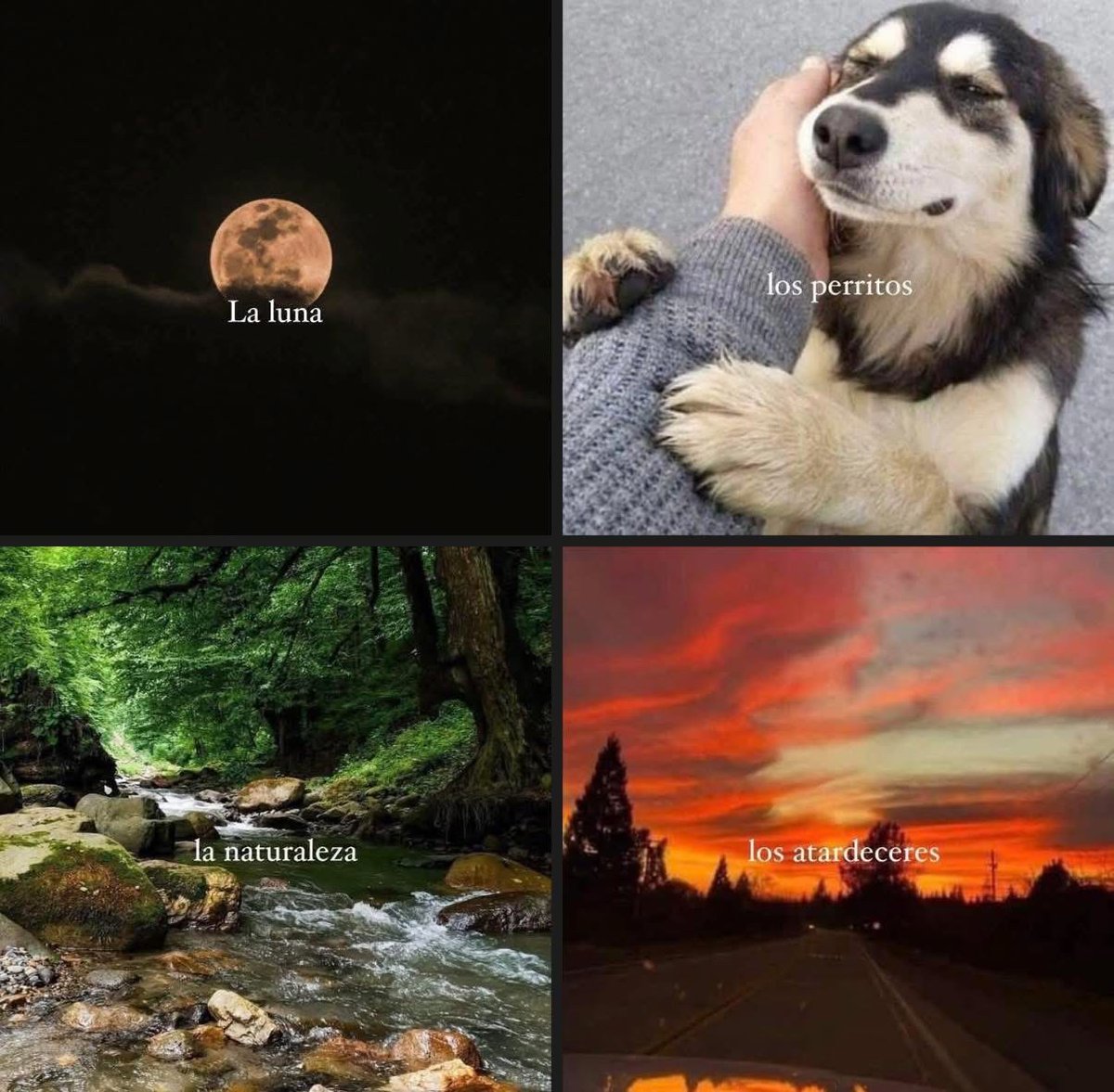 Guarromantico_'s tweet image. Este usuario ama: 🤍