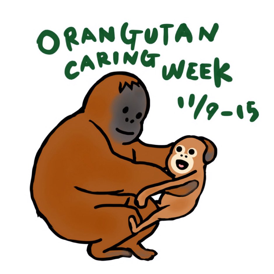 カラフルアニマルアート オラウータン オラウータン/orangutan #オラウータン #orangutan #動物イラスト