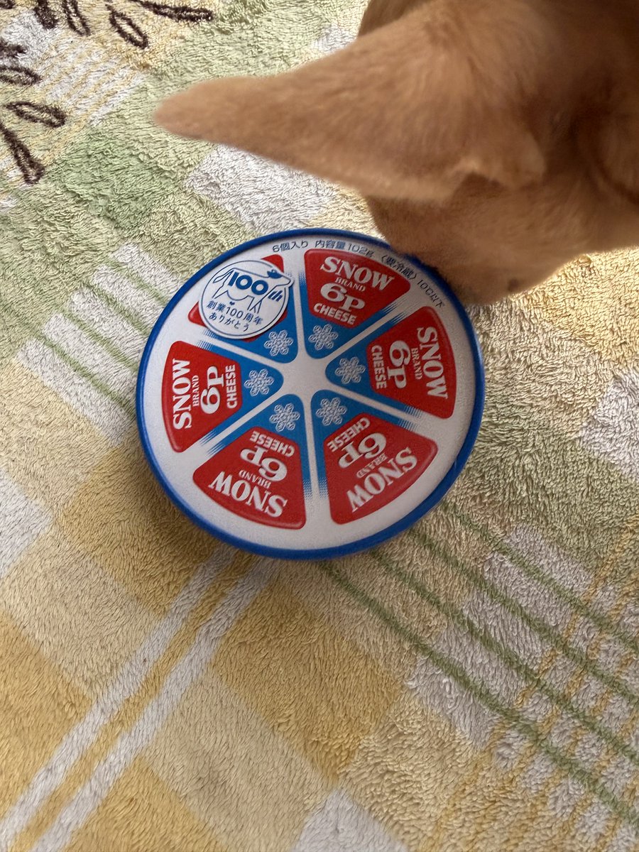 ⭐︎みい⭐︎🐶🐱🚘🏍️ on X