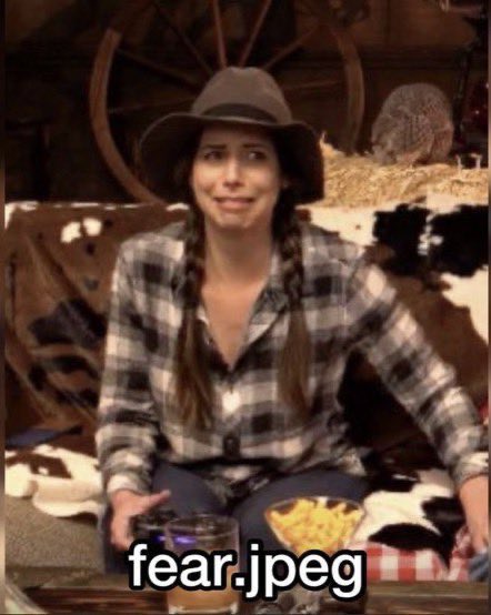 ALlCESLIBRARY's tweet photo. my brain for the past 12 hours bc my laptop DIED in the middle of me working on a fic and now I can’t get my 4000 word draft back….or my laptop at all, but yknow, priorities https://t.co/MmREevh6Bu