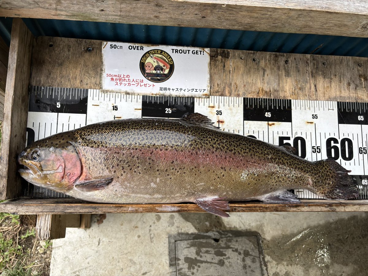 から揚げ班長 (@hancho_karaage) / Posts / X