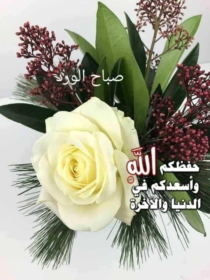 abughalaa1's tweet photo. https://t.co/r4l0LLBgSL