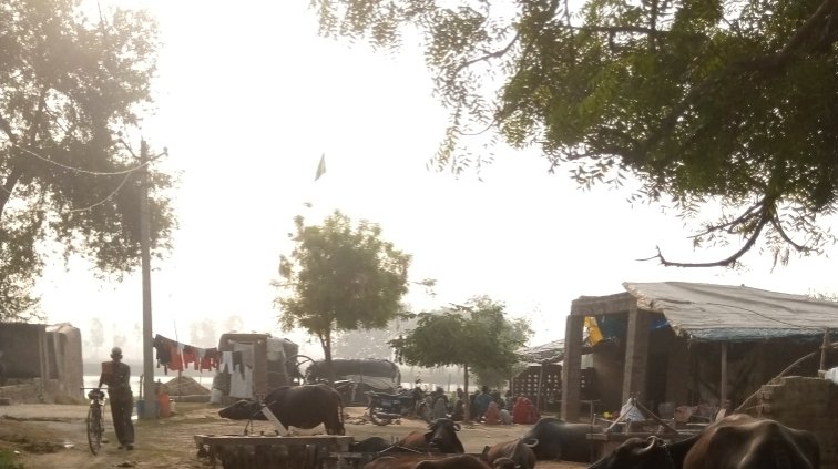 #बरेली थाना आँवला के अंतर्गत ग्राम कमठेना में रियासत पुत्र बशीर अहमद की बैठक पर #अवैध #मदरसा मौलाना मुबारक निवासी ढिलवारी चला रहा है,पुलिस प्रशासन कठोर से कठोर कार्रवाई करे 
<a href="/bareillypolice/">Bareilly Police</a> <a href="/112UttarPradesh/">Call 112</a> <a href="/CMOfficeUP/">CM Office, GoUP</a> <a href="/igrangebareilly/">DIG RANGE BAREILLY</a> <a href="/igrangebareilly/">DIG RANGE BAREILLY</a> <a href="/igrangebareilly/">DIG RANGE BAREILLY</a> <a href="/Uppolice/">UP POLICE</a>