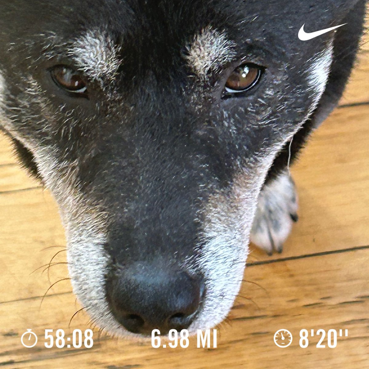 Zach “ZIGGY” Omar tweet media