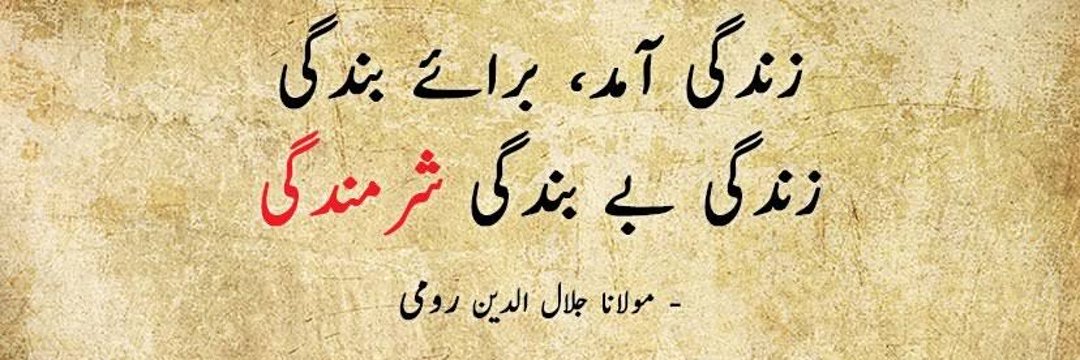 Adanhashmi13's tweet photo. https://t.co/g0gw1cWG5i