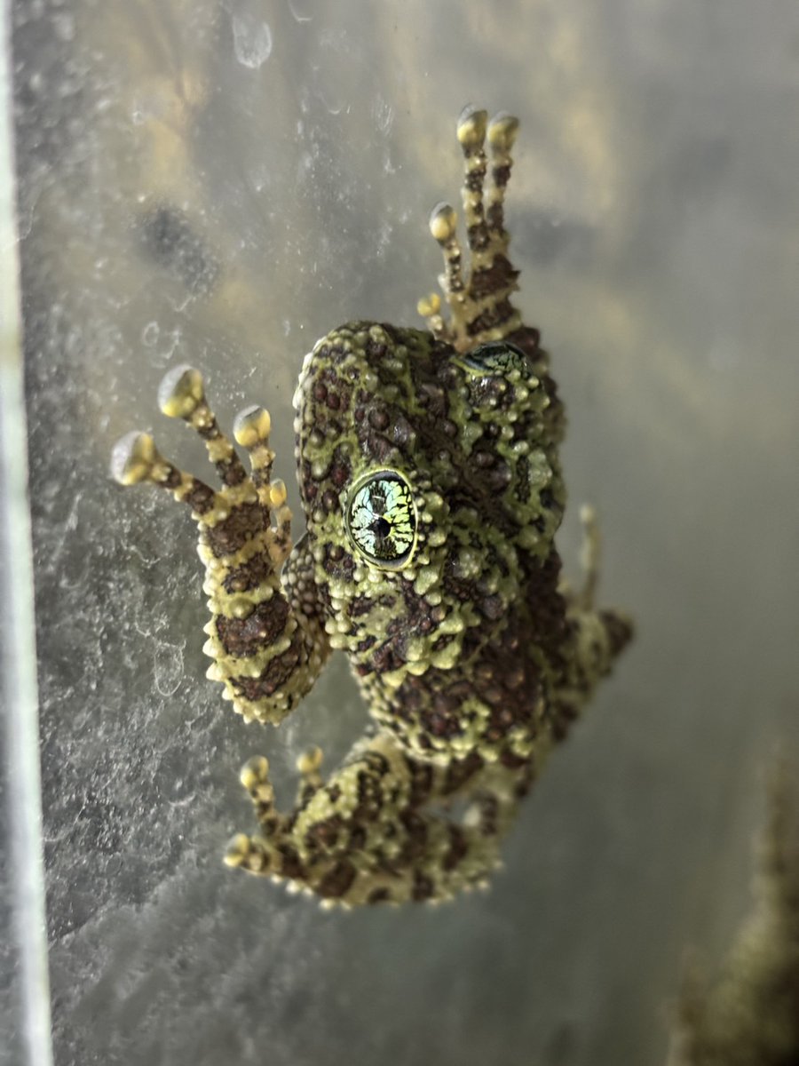 CANDLE 横浜店 on X