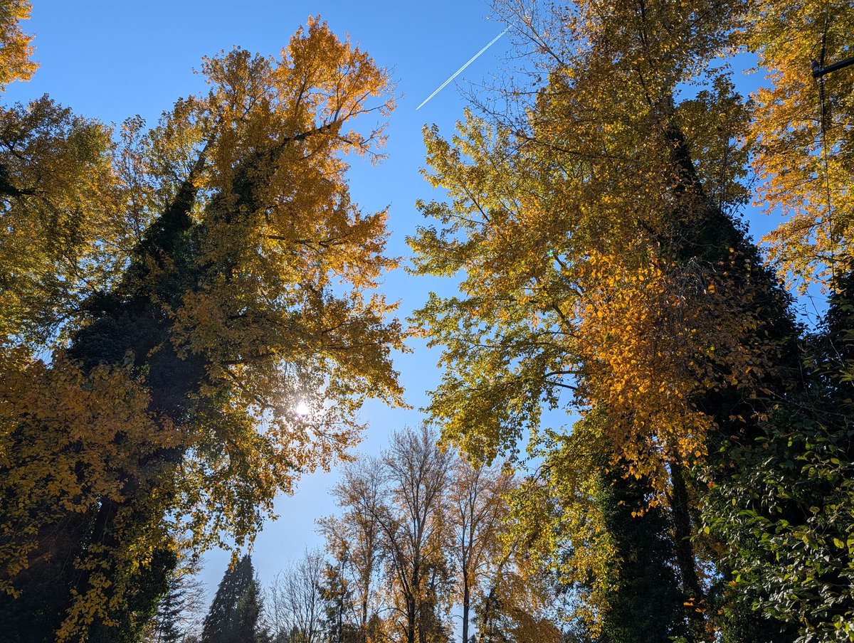 SocalStrider's tweet image. Seattle is kinda crazy