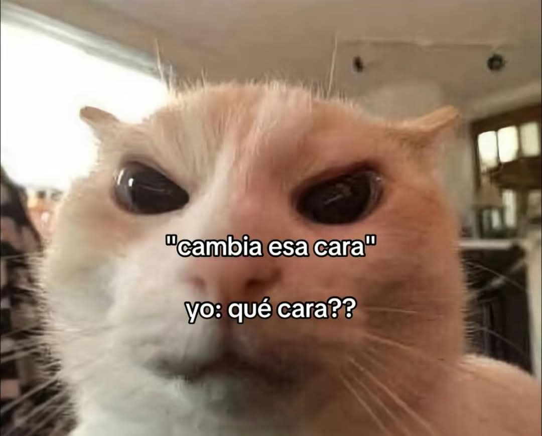 FraseSimple's tweet image. 