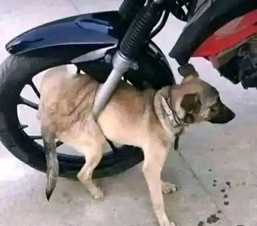 وضع #السعودية الآن بعد بيان وزارة الداخلية ..!!

#أرمكو
#بقيق
#خريص