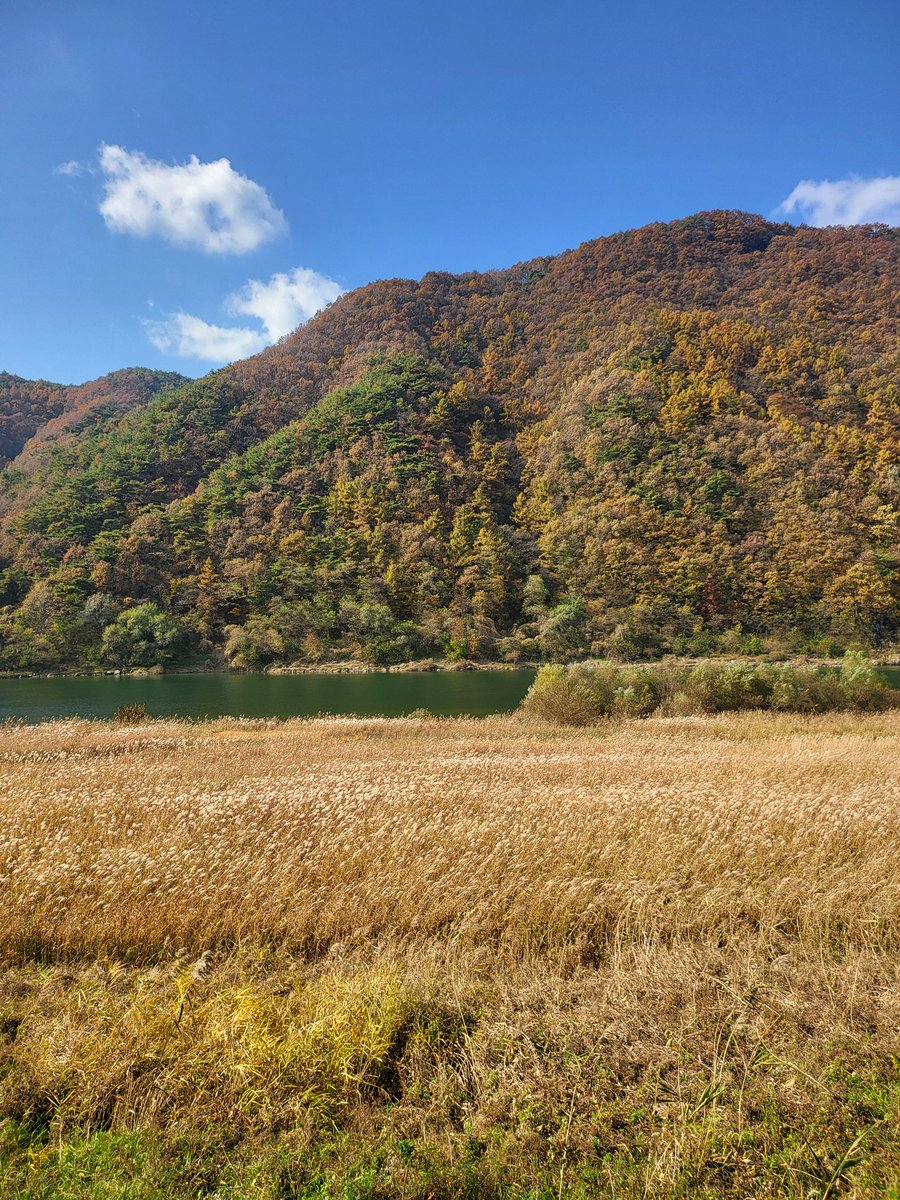 秋の風景
가을풍경