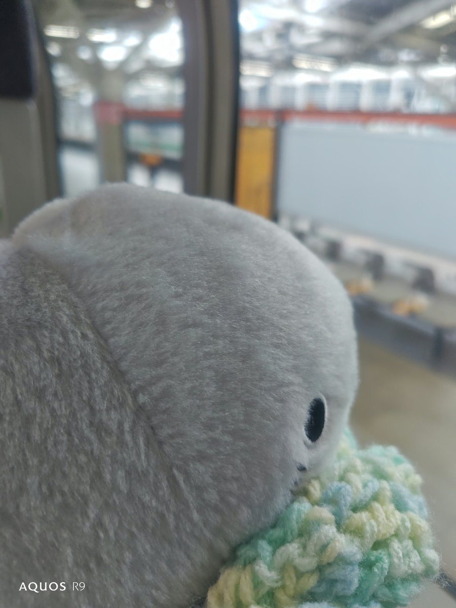 IDEAMASTER10's tweet image. 今日もお出かけ、お付き合いありがとう♥
って、すごい夢中。
#お出かけ子ザメ
#子ザメちゃん