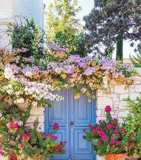 Abdul Ghafoor (@ghafoor0088290) on Twitter photo 