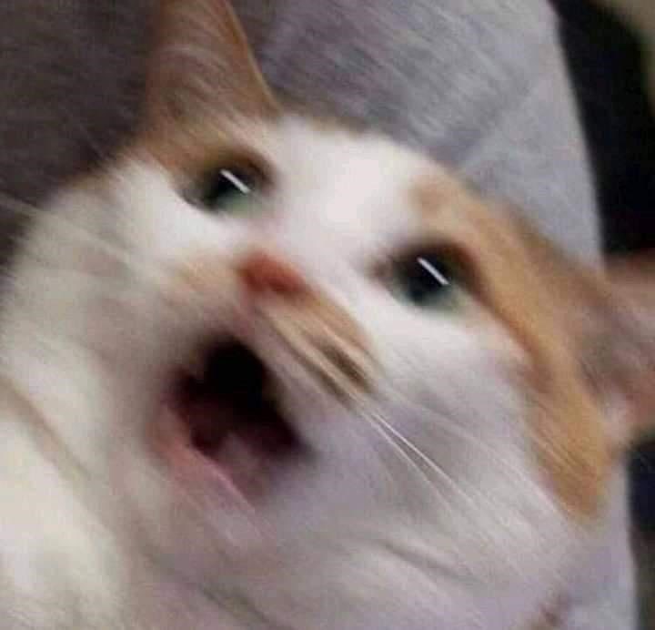 forgot i ordered fajitas and that shit had me like this when it came out