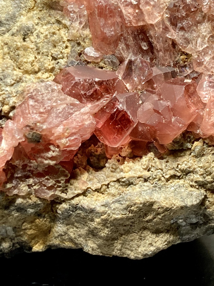 エヌズミネラル(<a href="/NsMineral/">株式会社エヌズミネラル</a>)様より
ペルー Uchucchacua Mineのロードクロサイト
所持しているものがマット系しかなかったので、結晶がわかるものを買わせていただきました。
特に、真ん中の「僕、名前の通り菱形ですよ〜」みたいな顔してるやつが好きです(写真2枚目)。