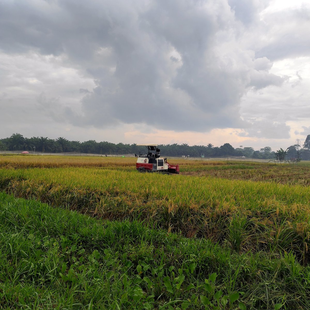 𝔹𝕖𝕟𝕚𝕞𝕒𝕣𝕦 tweet media