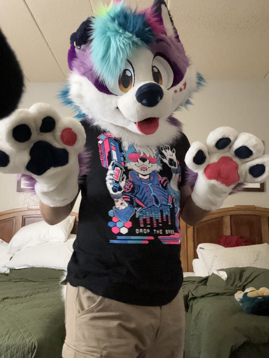 Puppy Chase 🌟 tweet media