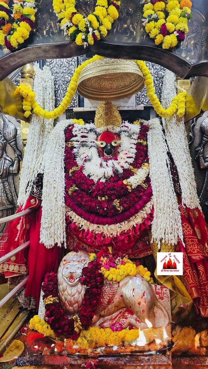 जय माँ विन्ध्यवासिनी 
आज 9-11-2025 रविवार को माता का प्रातःकालीन मंगला आरती दर्शन