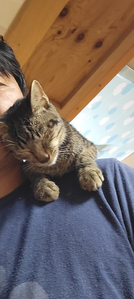 いっちー (@M7VsFqtapEE2k7A) / Posts / X