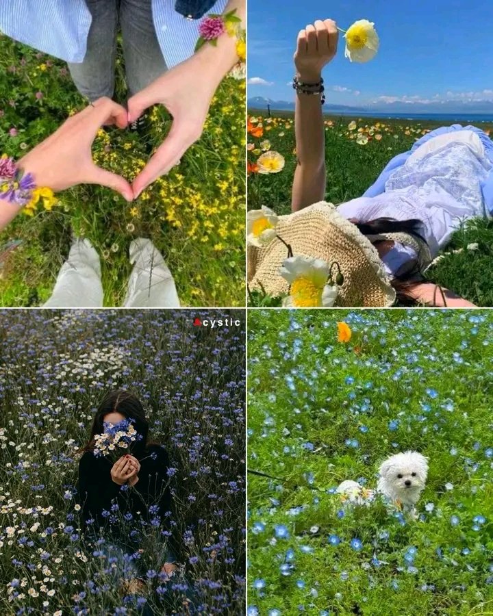 A little field therapy for the soul 🌼🌸🌿