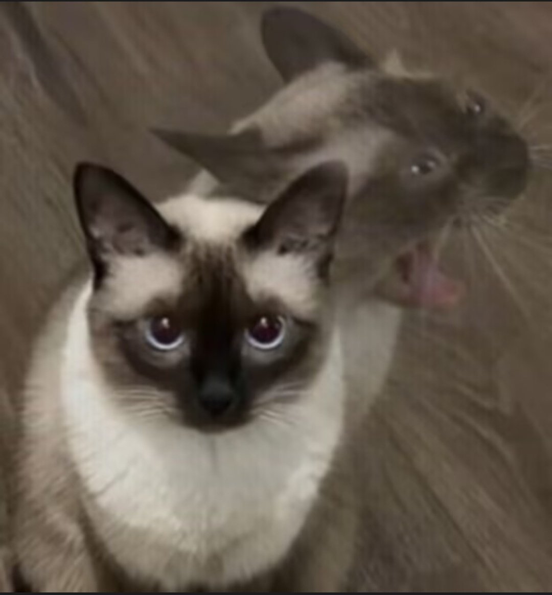 兄弟两个按摩来着👀
#lxl #龙性恋 #oc