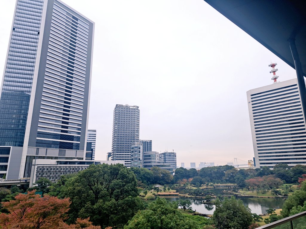 お客さんできますた。
やっぱりゆっくり見れるよね✨️