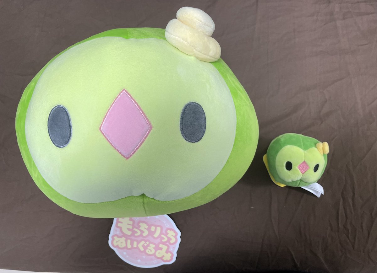 Neetあかね (Akane) @ポケモン実況 tweet media