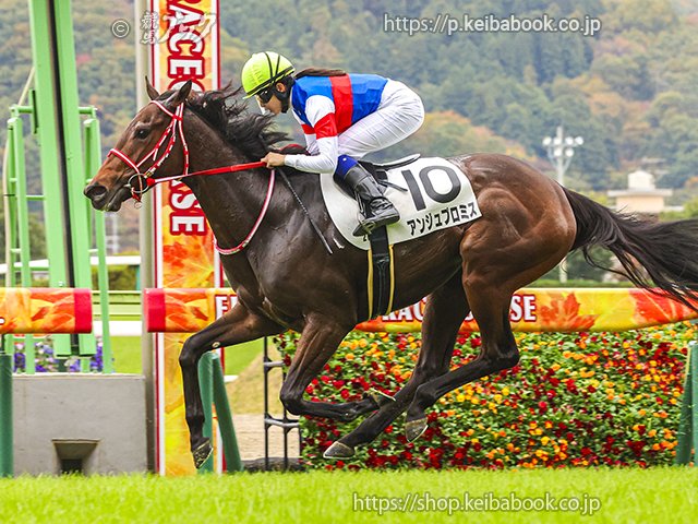 競馬ブックネットSHOP on X