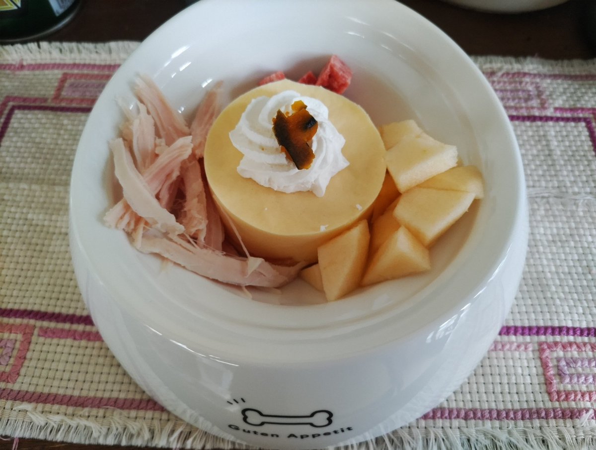 post_kira's tweet photo. 今年の🎂ケーキは母が買ってくれた新しいお皿に乗せて♪一瞬で食べてくれました🥰(食べてる写真撮り忘れた…💦) https://t.co/dLfcGiFeGF