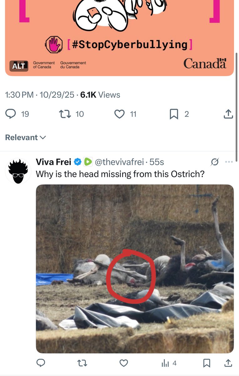 Viva Frei tweet media
