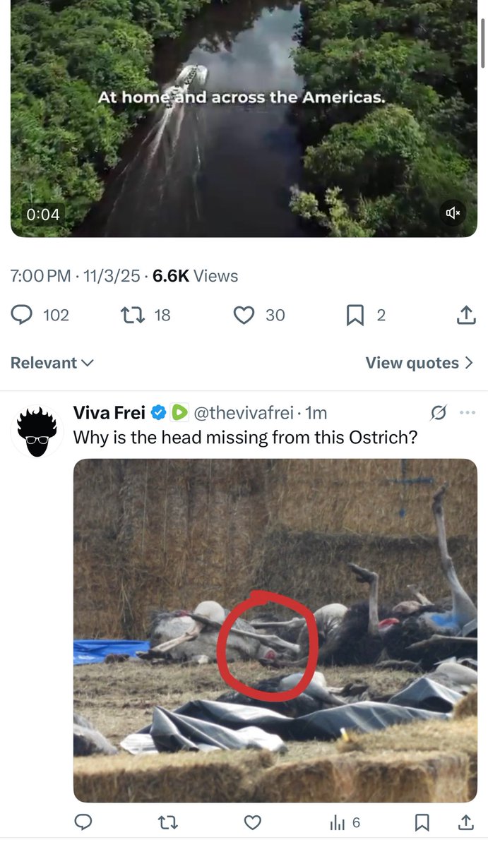 Viva Frei tweet media