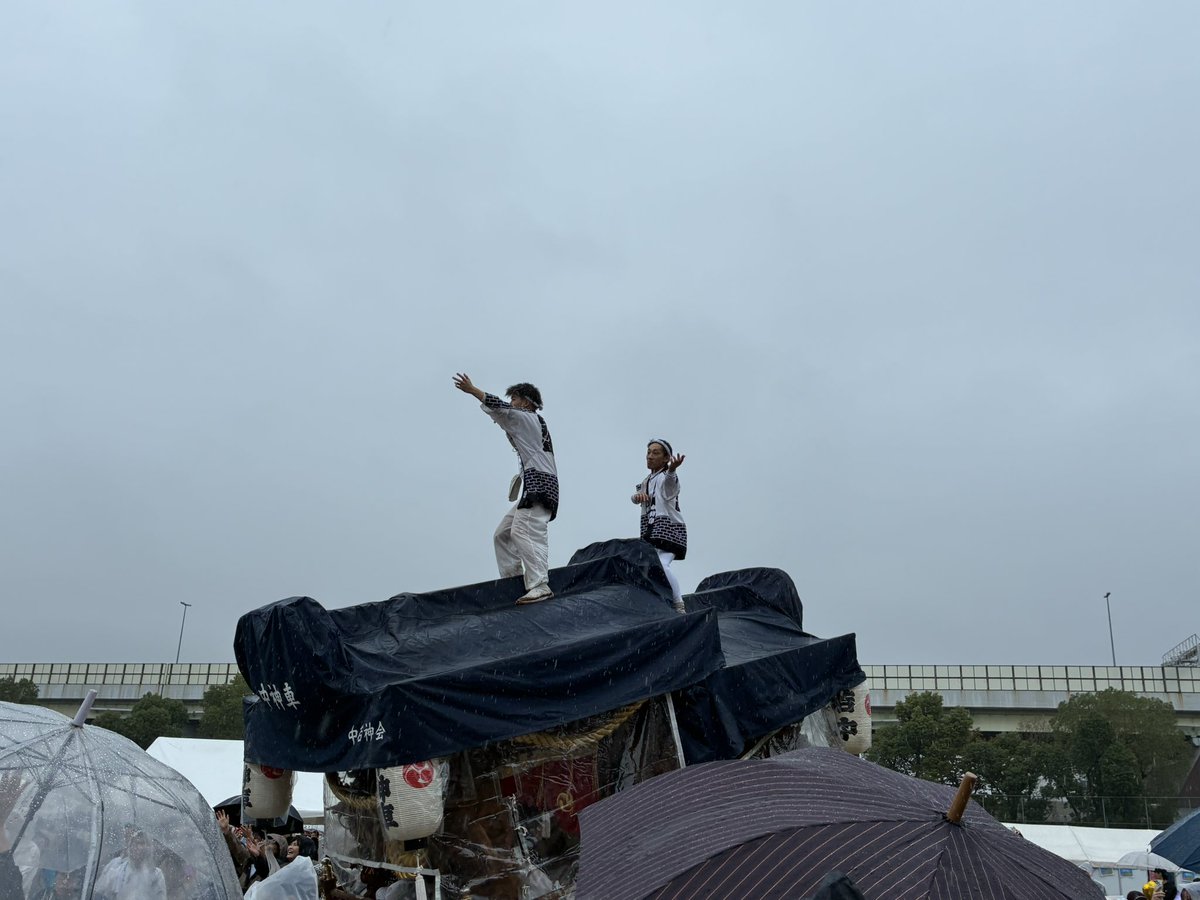 nishiyodo_ku's tweet photo. 西淀川区民まつり現在はだんじりを行っています！
雨の中ですが、大変な盛り上がりを見せています！ https://t.co/lHxPd9k2xz