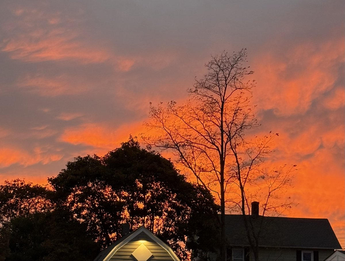 GSWard22's tweet photo. @admired_art Took this with my phone https://t.co/8afgx1qh8Z