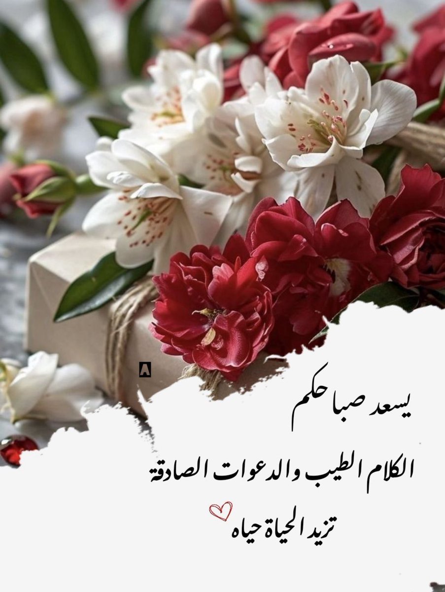 صباح القلوب الراقية والألسن الطيبة،التي تزرع الاحترام قبل السلام،فالأدب جمال لا يزول مهما تغيّر الزمان🕊️
#صباح_الخير