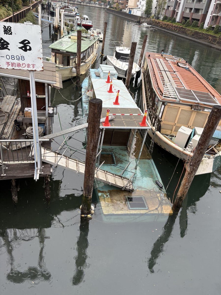 フランソワ・フランクの自筆画✨2艘のヨット フランソワ・フランクの