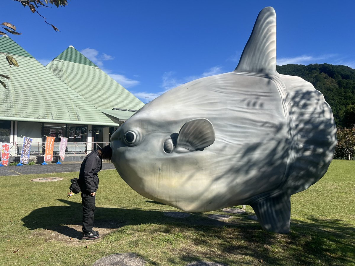 ちくわ (@bike_tteiina) / Posts / X