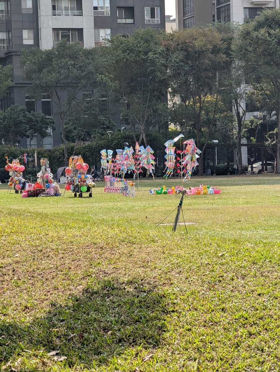 久違的曬曬太陽，吸血鬼的我🤣
